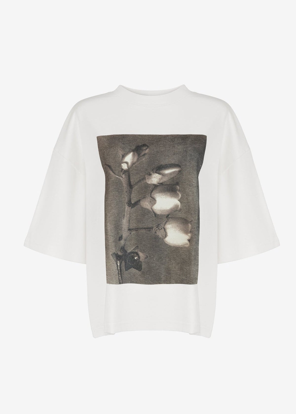 T-SHIRT GABRIELLE DARK ECRU LECOLLET